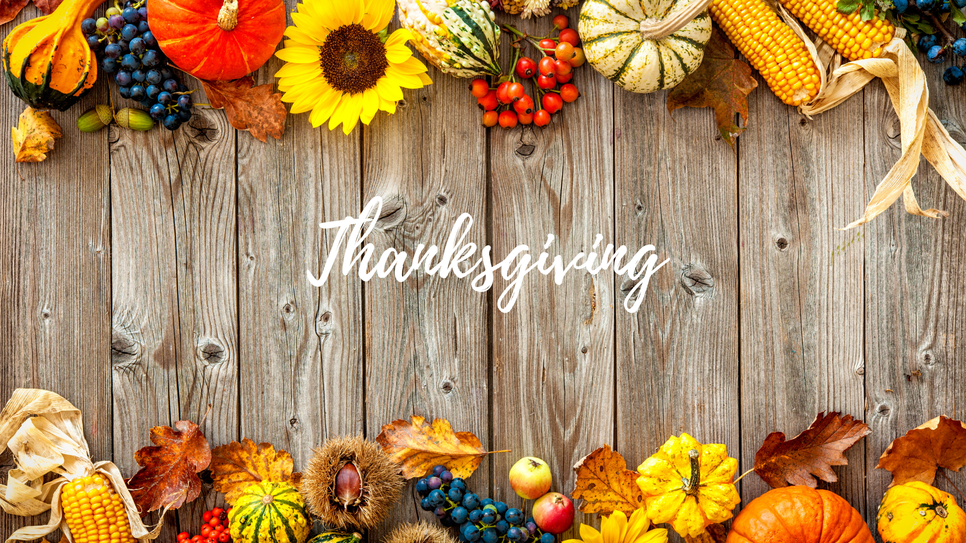 Thanksgiving on a wooden background with pumpkins and sunflowers.