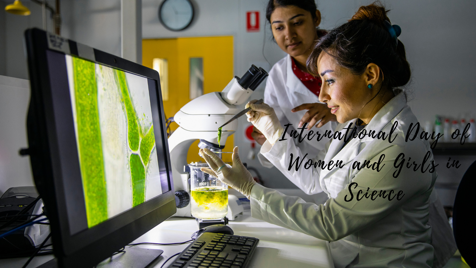 Women and girls in science.