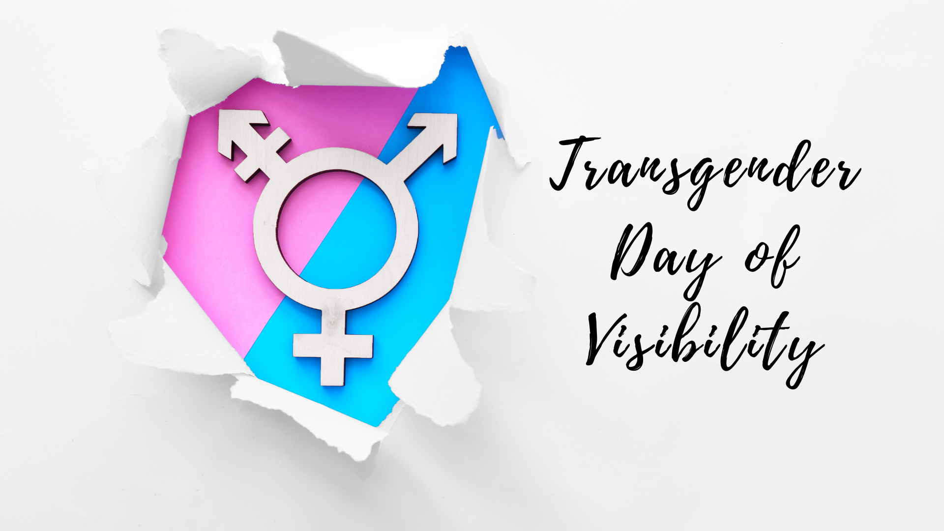 Transgender pride emblem symbolizing transgender day of visibility, emerging through torn paper.