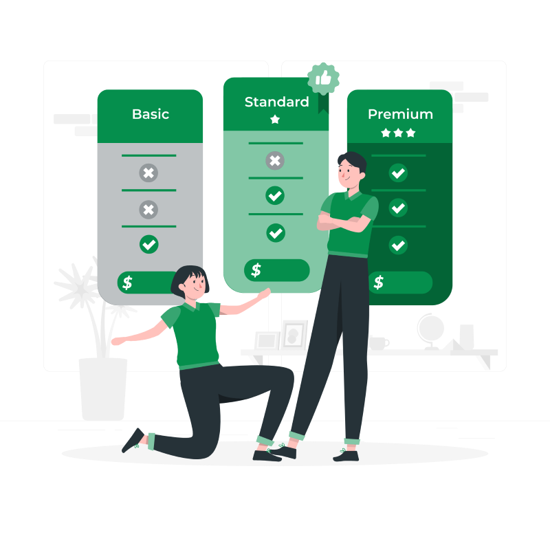 Two illustrated people are in front of a pricing chart with columns for Basic, Standard, and Premium plans. One person stands with arms crossed, while the other kneels, gesturing towards the chart.