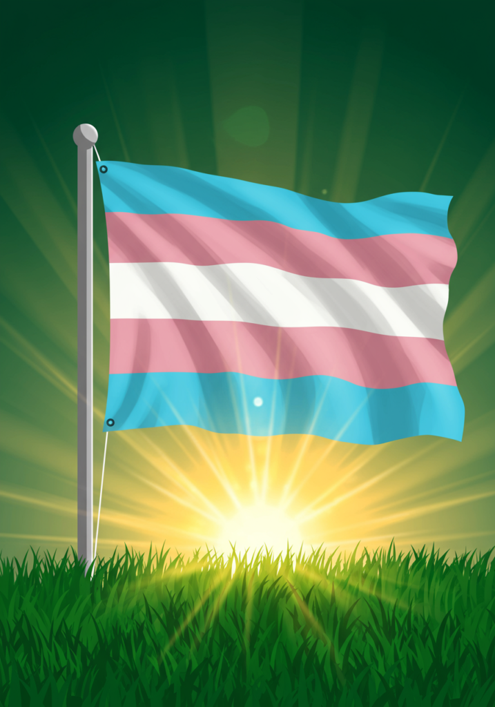 Transgender pride flag on a pole against a sunrise background, with rays of sunlight and green grass in the foreground.